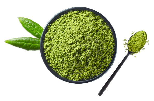 Qui sommes-nous - Foodex