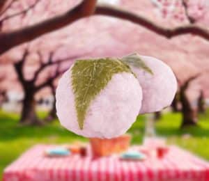 sakura mochi